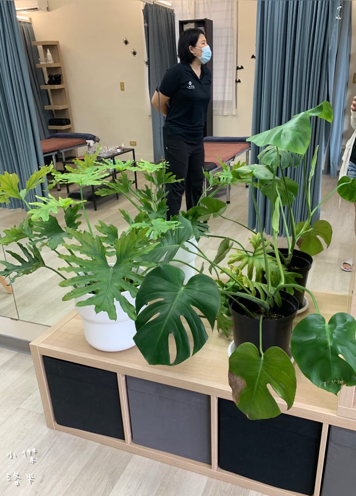 《紓壓》痠痛獵人Sore hunter | 新中式傳統整復推拿 台北私房推薦