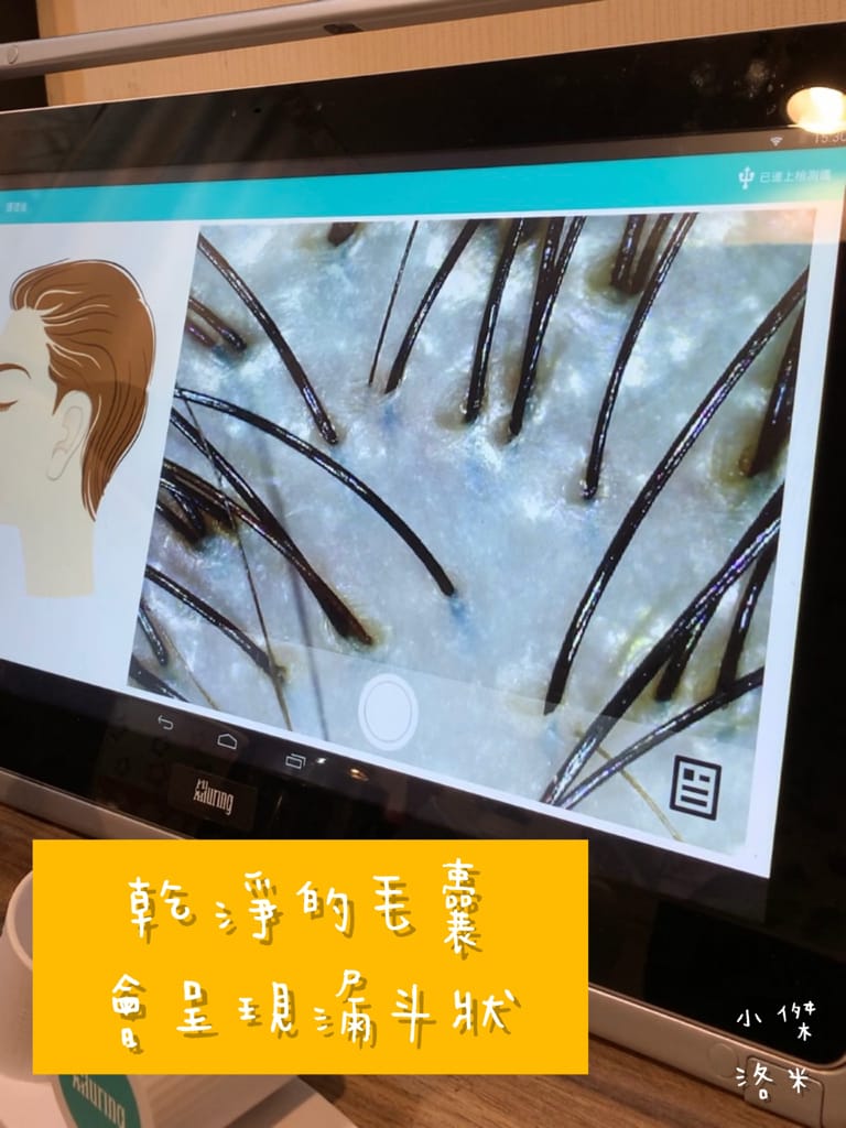 《保養》Alia&艾麗雅頭皮養護中心 ｜西門町美麗一波 專業AI頭皮檢測 用科技替頭皮說話 台北市頭皮保養推薦 護髮推薦 頭皮護理推薦