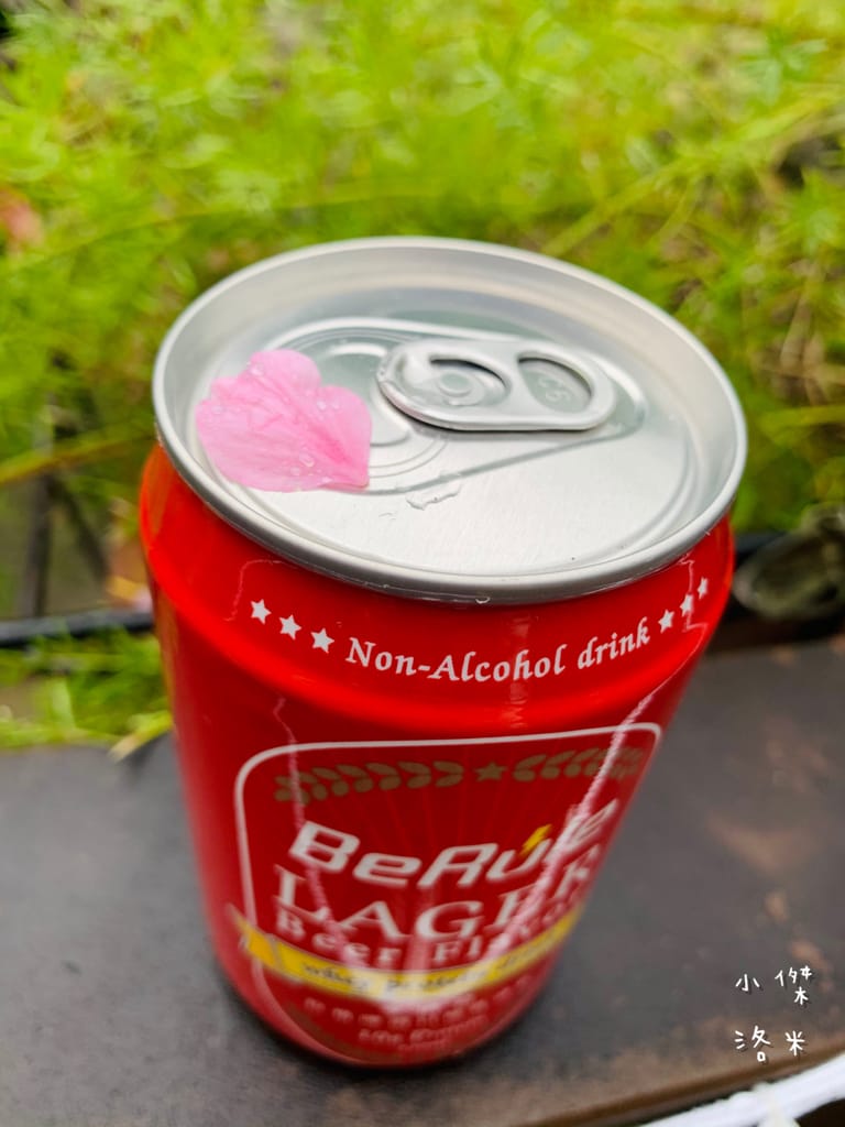 《飲品》BeRule零酒精乳清飲 ｜零酒精高蛋白仿啤飲 享受健身後暢飲啤酒的快感 聚餐美食乾一杯的新選擇 健身推薦 美食乾杯推薦