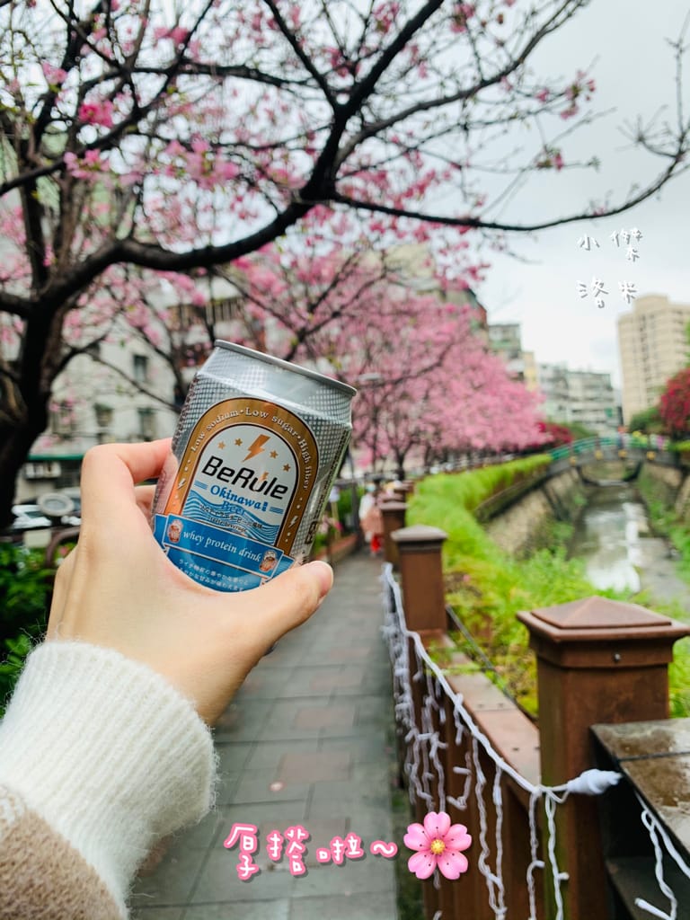 《飲品》BeRule零酒精乳清飲 ｜零酒精高蛋白仿啤飲 享受健身後暢飲啤酒的快感 聚餐美食乾一杯的新選擇 健身推薦 美食乾杯推薦