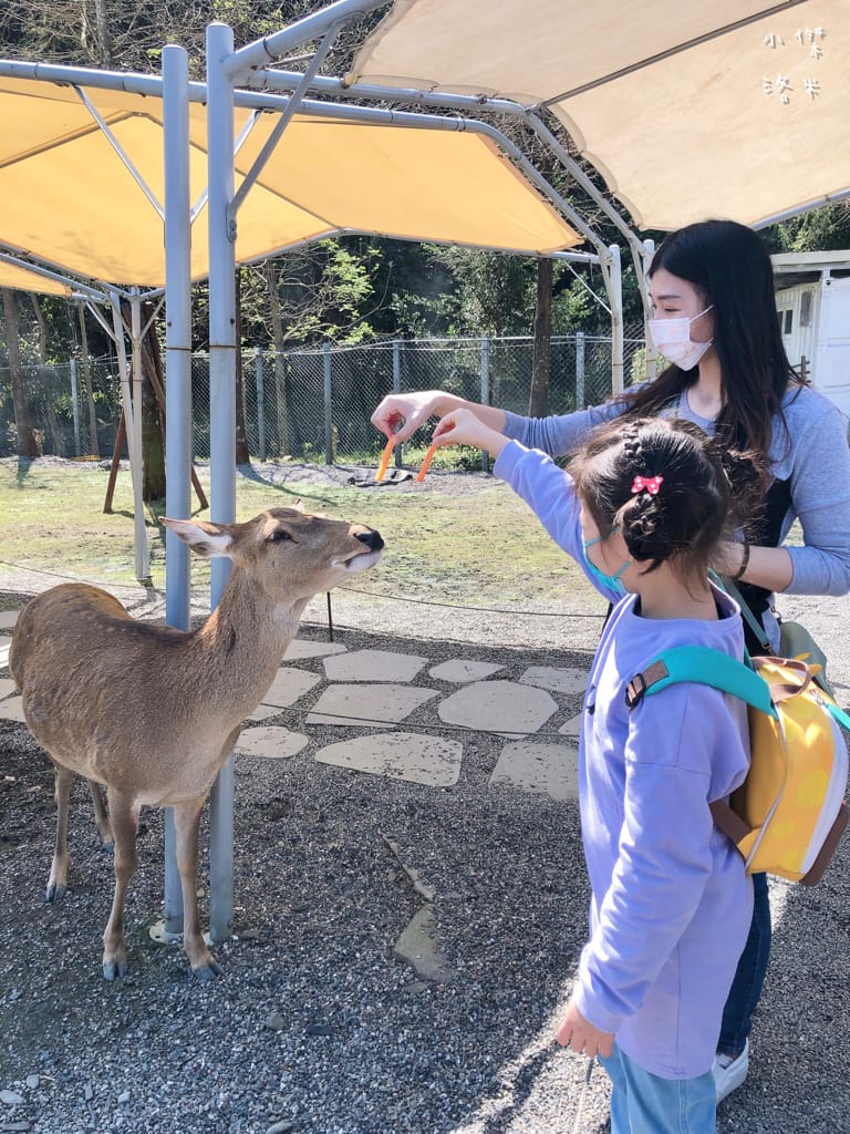 《旅遊》宜蘭-彩虹灣民宿｜五十二甲濕地畔 稻田小河環繞遠離都市塵囂 五結鄉包棟民宿推薦 親子住宿推薦