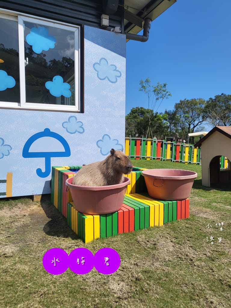 《旅遊》宜蘭-彩虹灣民宿｜五十二甲濕地畔 稻田小河環繞遠離都市塵囂 五結鄉包棟民宿推薦 親子住宿推薦