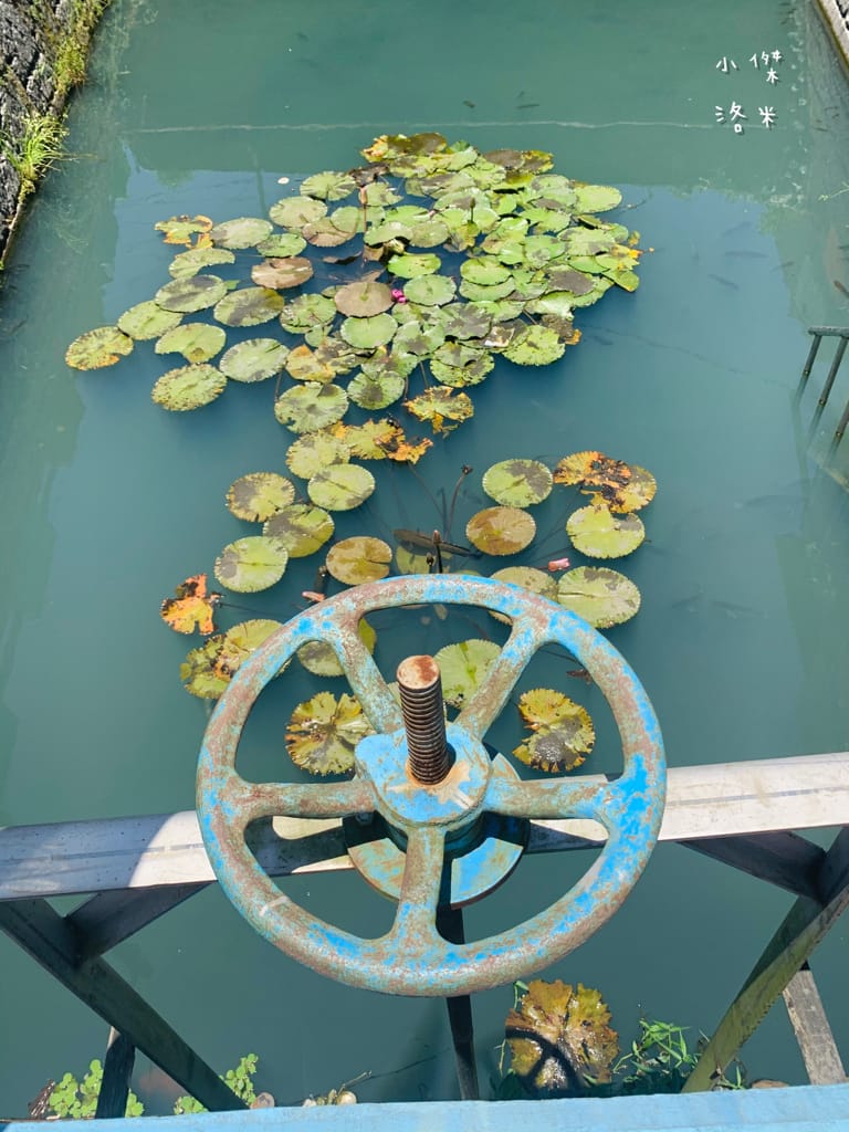 《旅遊美食》老司G Tea&Coffee｜宜蘭冬山 工業復古風 河岸玻璃屋 網美咖啡廳超好拍 兒童沙坑親子放風新選擇