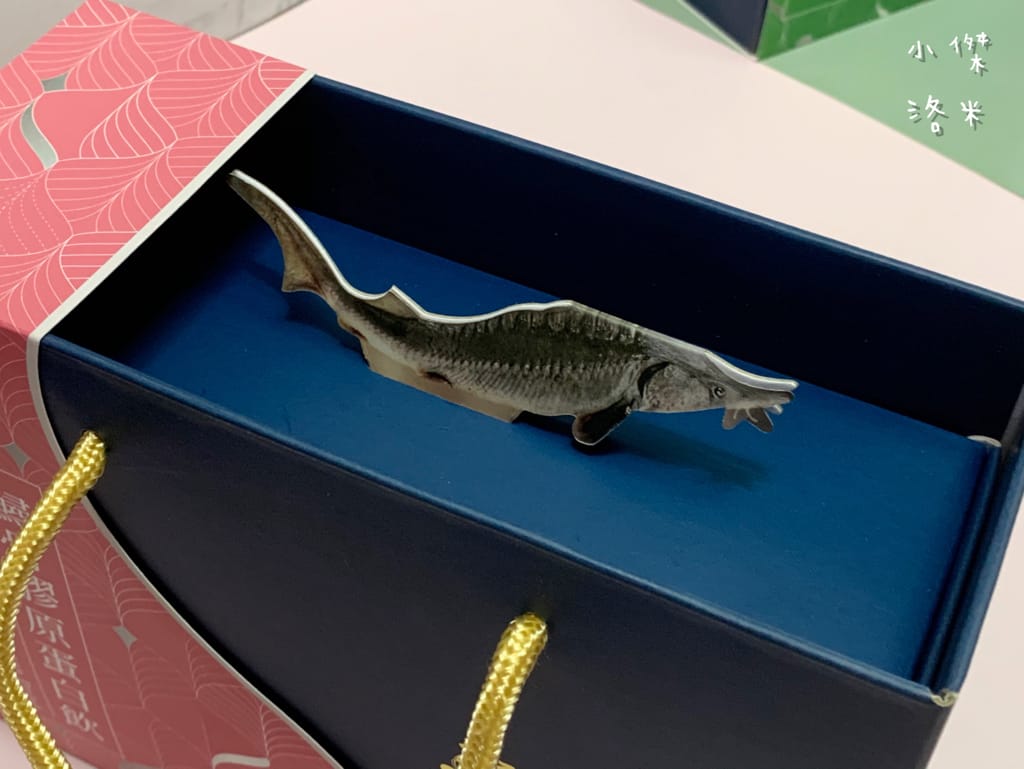 《生活》鱘寶Symbol Sturgeon｜鱘骨膠原蛋白飲｜鱘骨黑蒜固本飲 全年齡適飲 輕鬆飲用膠質滿滿的鱘龍魚骨 天然食補安心推薦 生日紀錄