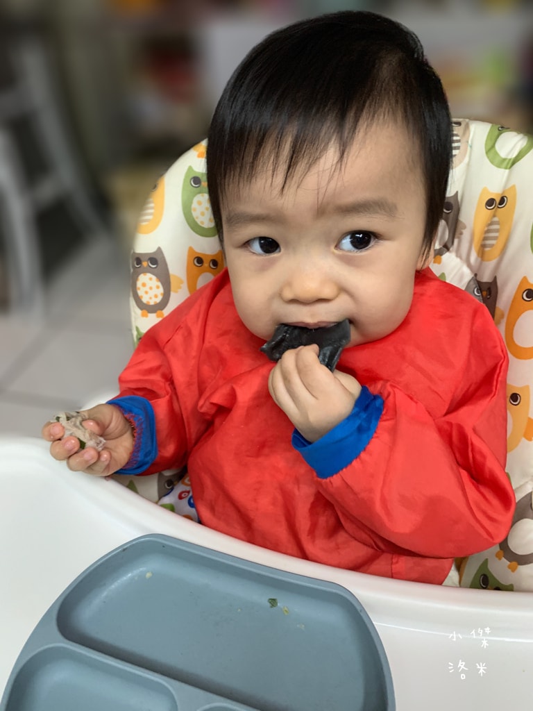 《親子》童食樂-鯊魚元寶|寶寶水餃 進階版副食品 健康減鈉無添加安心吃 寶寶副食品推薦