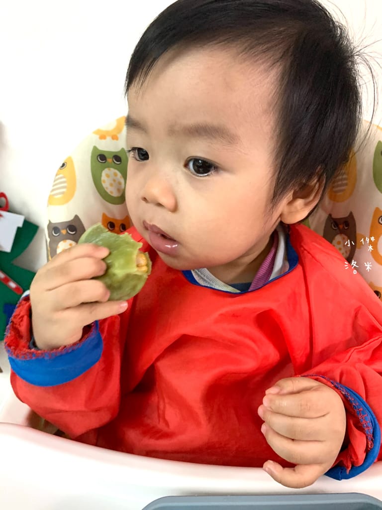 《親子》童食樂-鯊魚元寶｜寶寶水餃 進階版副食品 健康減鈉無添加安心吃 寶寶副食品推薦