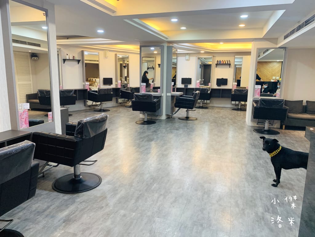 《板橋染髮推薦》Wor hair府中店｜不分長度染/燙1500起超佛心 閃耀柔潤護髮提升回頭率 平價時尚美髮推薦