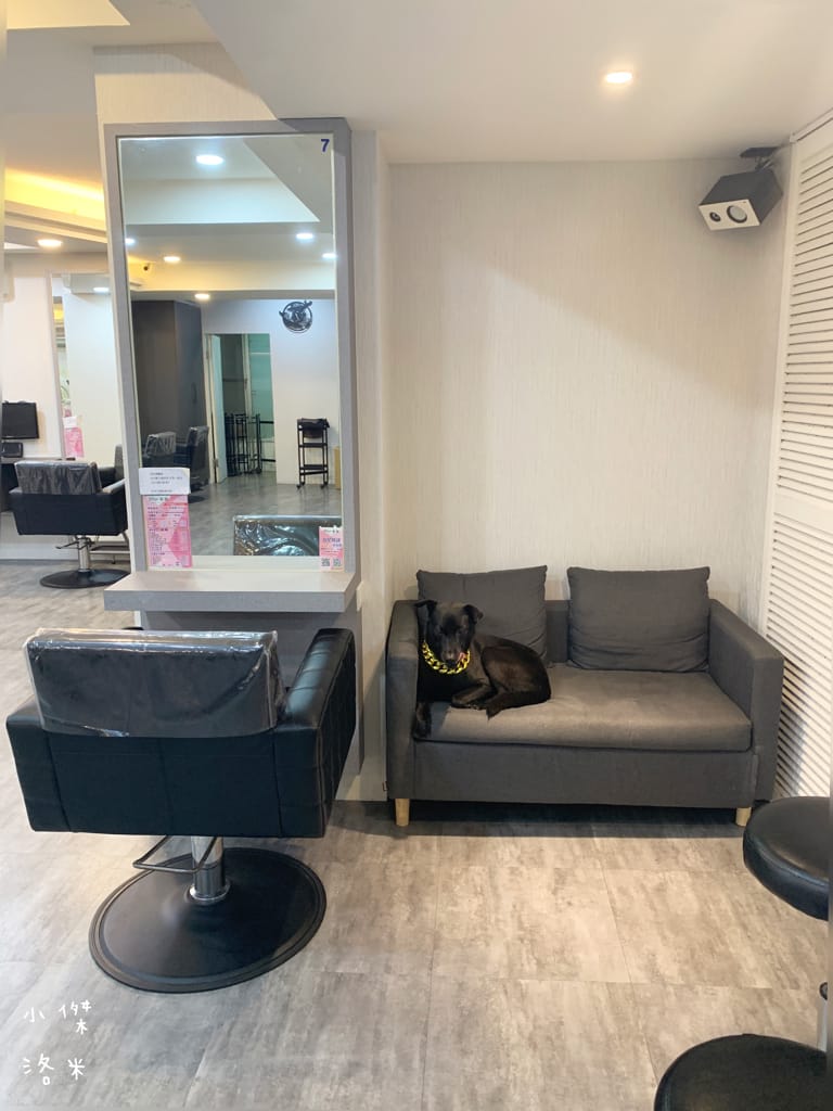 《板橋染髮推薦》Wor hair府中店｜不分長度染/燙1500起超佛心 閃耀柔潤護髮提升回頭率 平價時尚美髮推薦