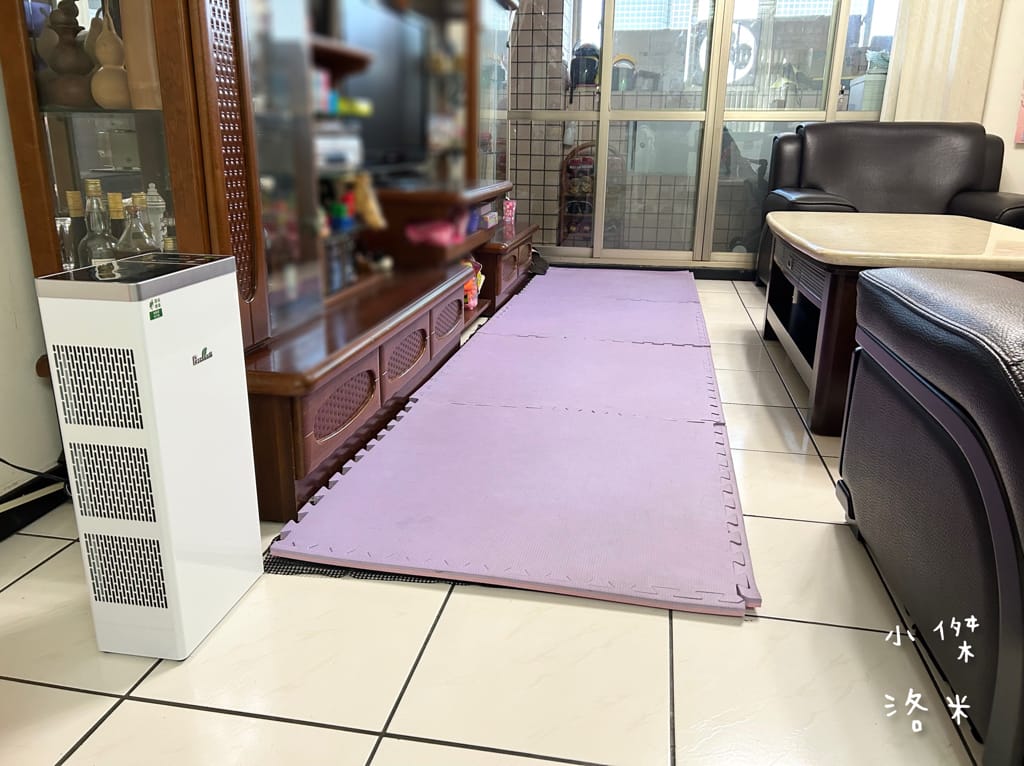 《生活》Bosswell博士韋爾 Mon Air 水洗式雙電