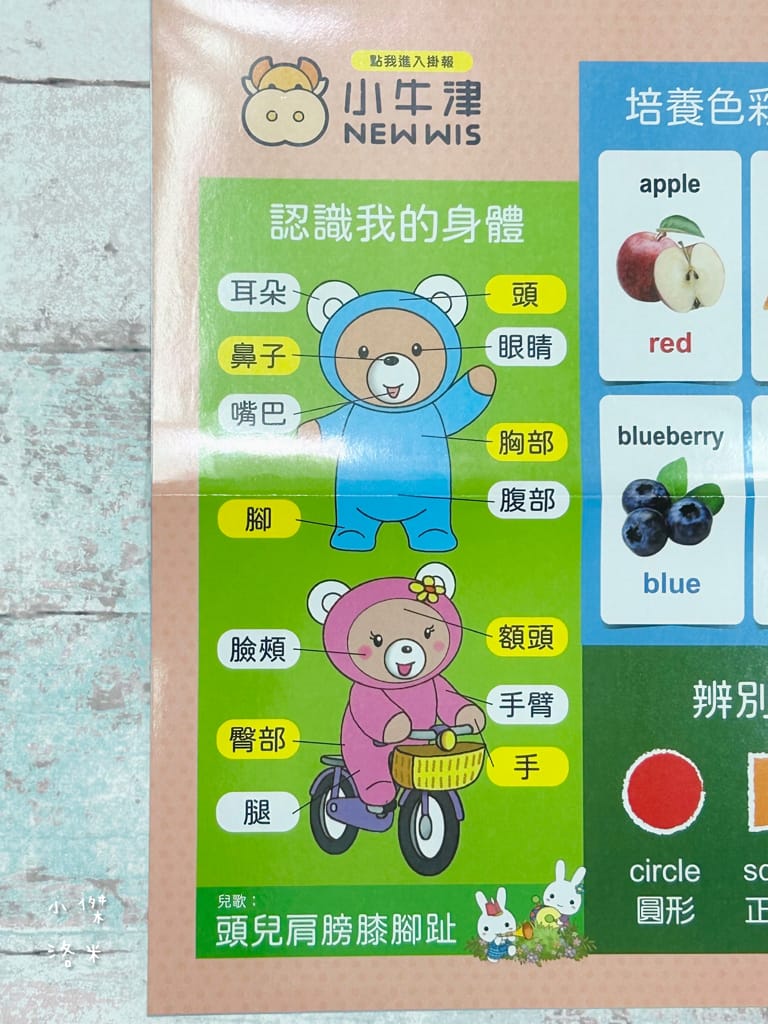 《育兒》開箱 小牛津 呱呱鴨點讀套組｜1-3歲點讀系列 我的