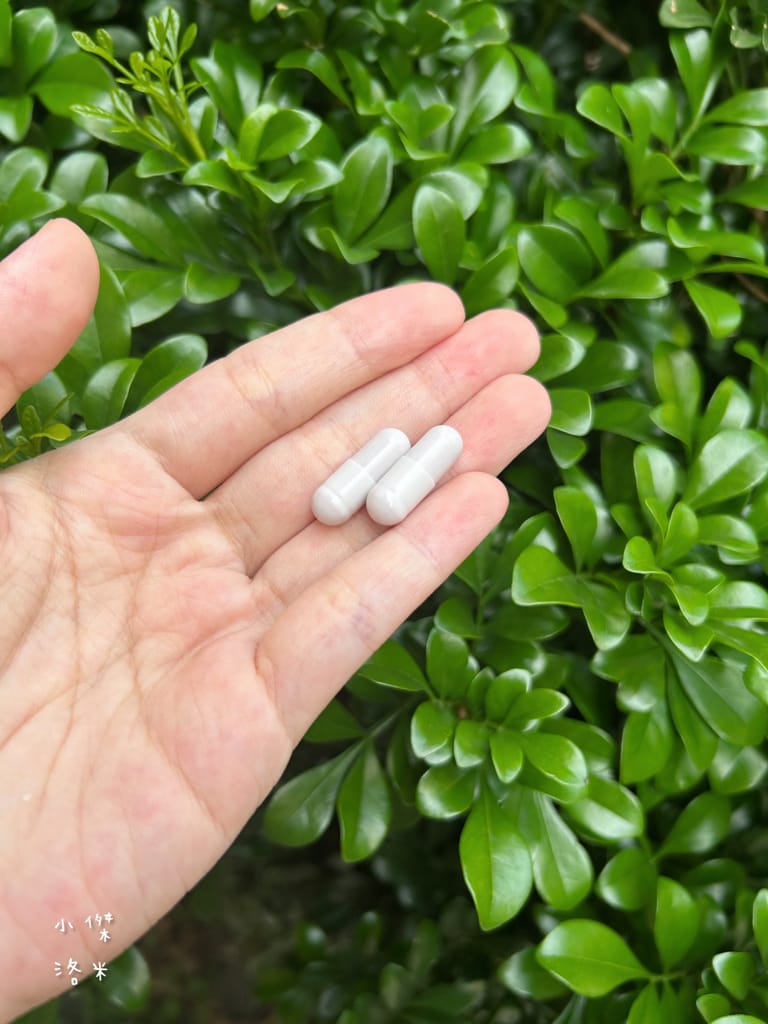 《美容》植雨生技-植澄皙膠囊｜怕曬怕黑的水水有福了 夏日防曬