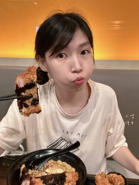 《美食》新丼-四訪｜無敵巧克力豬排丼 熔岩咖哩炸雞丼 你敢挑