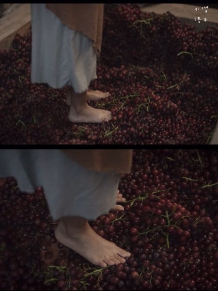 《生活》Cleer ARC 3 開放式 AI 真無線藍牙耳機