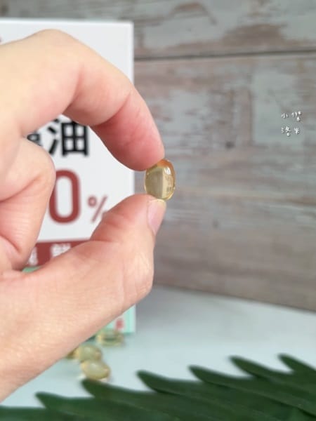 《保養》Doubled倍鮮生技 倍鮮高濃度藻油｜素食 DHA