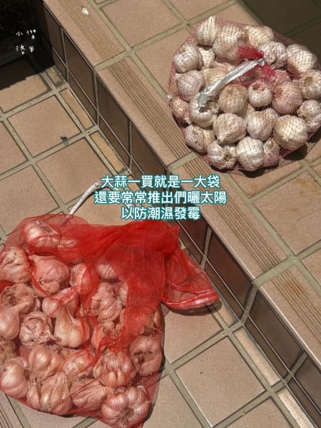 《美食》 HESTIA 滋滋蒜｜從此告別剝蒜地獄，快速煮出家