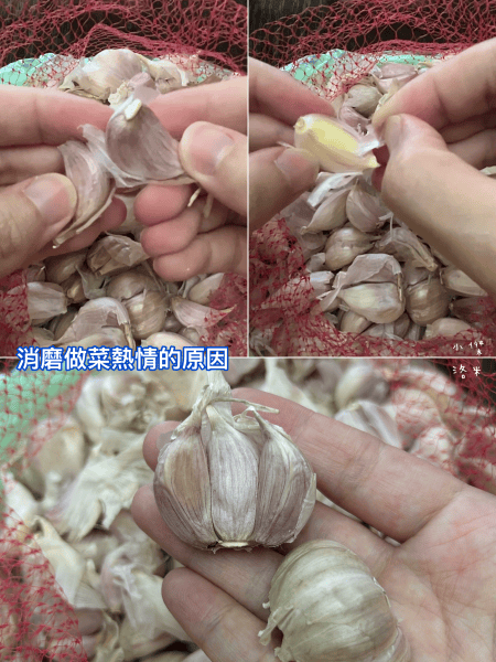 《美食》 HESTIA 滋滋蒜｜從此告別剝蒜地獄，快速煮出家