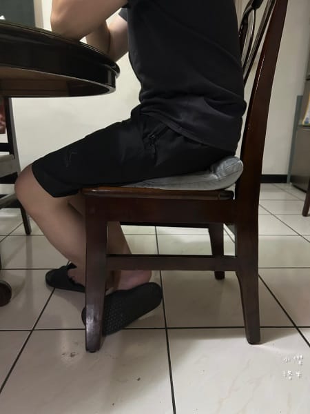 《生活》 鵲利仕屁屁枕｜臭屁王救星來了，GELLIS鵲利仕吸