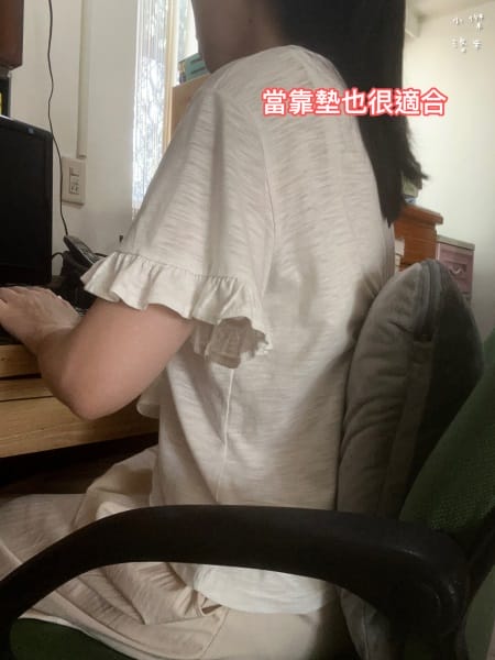 《生活》 鵲利仕屁屁枕｜臭屁王救星來了，GELLIS鵲利仕吸