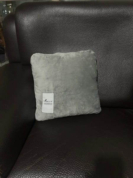 《生活》 鵲利仕屁屁枕｜臭屁王救星來了，GELLIS鵲利仕吸