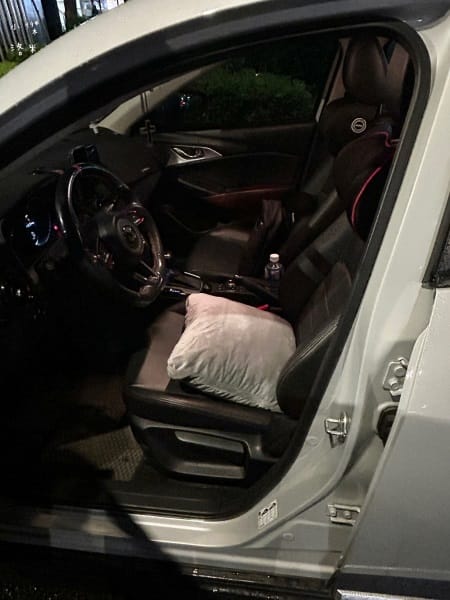 《生活》 鵲利仕屁屁枕｜臭屁王救星來了，GELLIS鵲利仕吸