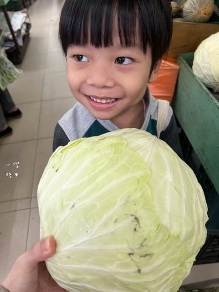 《健康》 甘藍保寶益生菌｜杉與橙 酸甜好吃兒童益生菌分享 三