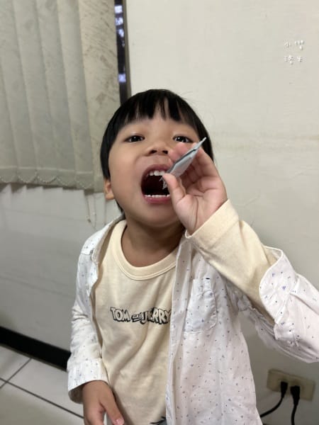 《健康》 甘藍保寶益生菌｜杉與橙 酸甜好吃兒童益生菌分享 三